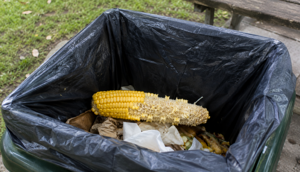 ChatGPT Image Jun 23, 2026, 06_31_35 PM Discarded corn cob in open outdoor trash bin after a meal