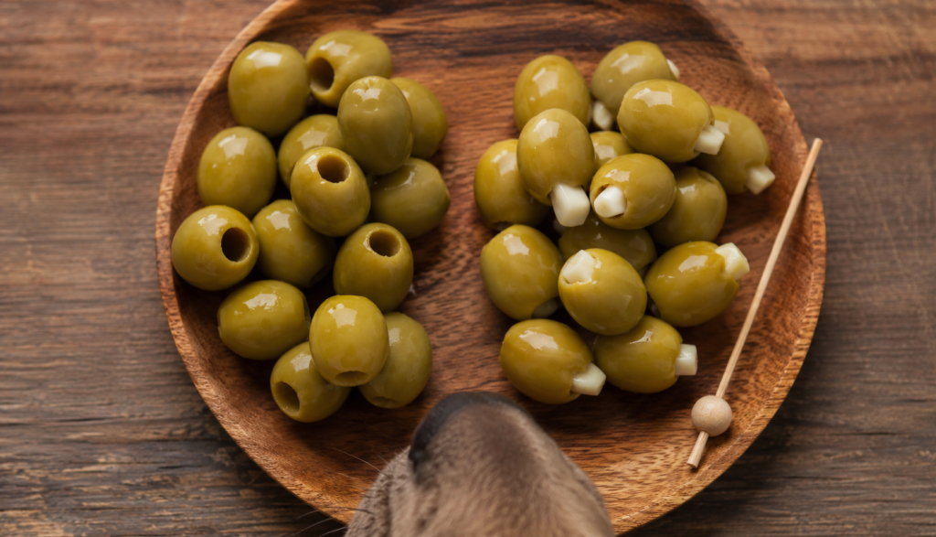 Plain olives beside garlic-stuffed olives showing dog risk