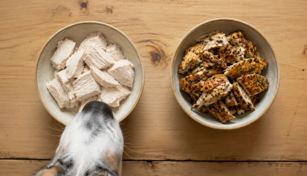 Plain boiled chicken beside seasoned rotisserie showing dog risk